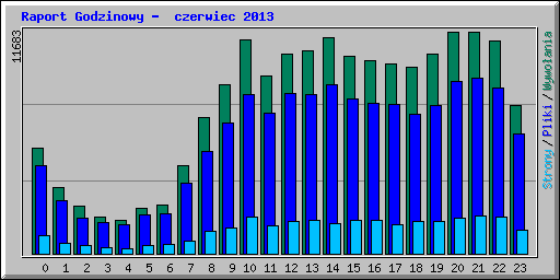 Raport Godzinowy -  czerwiec 2013