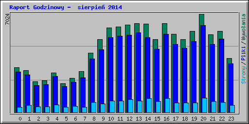 Raport Godzinowy -  sierpie 2014