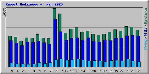 Raport Godzinowy -  maj 2025