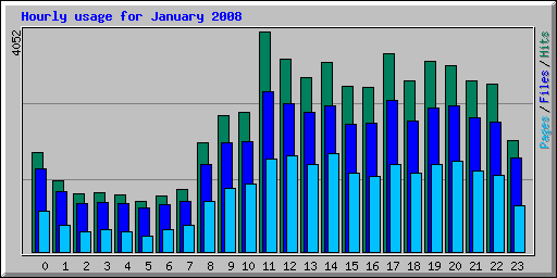 Hourly usage for January 2008