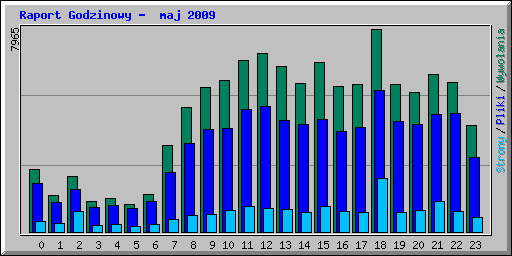 Raport Godzinowy -  maj 2009