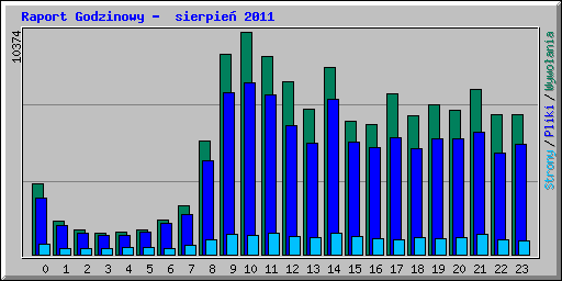 Raport Godzinowy -  sierpie 2011