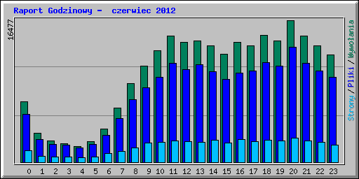 Raport Godzinowy -  czerwiec 2012
