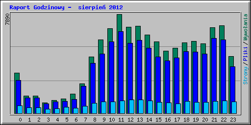 Raport Godzinowy -  sierpie 2012