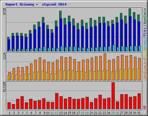 Raport Dzienny -  stycze 2014