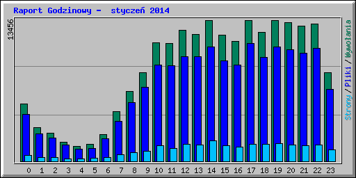 Raport Godzinowy -  stycze 2014