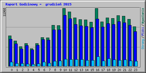 Raport Godzinowy -  grudzie 2015