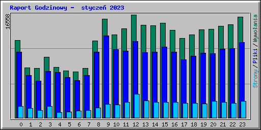 Raport Godzinowy -  stycze 2023